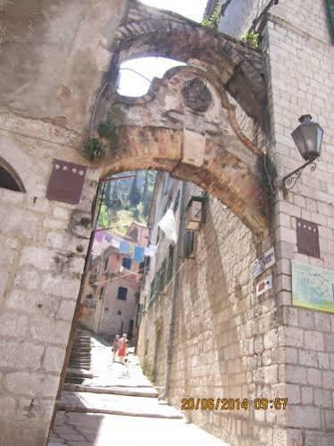 Ozana * Kotor